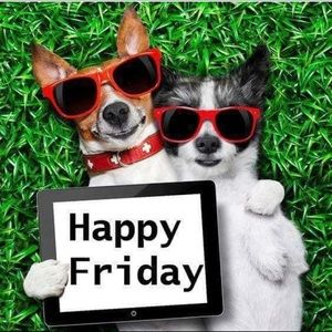 Meet your Posher, Yolanda